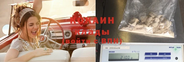2c-b Алзамай