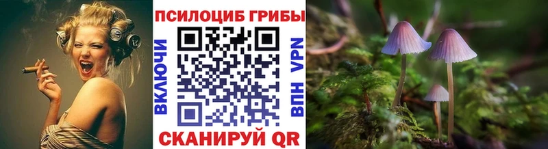 omg рабочий сайт Аткарск Галлюциногенные грибы MAGIC MUSHROOMS